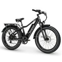 electric bicycle