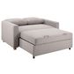 Lifestyle Solutions Tyler Convertible Sofa in Light Grey, , large