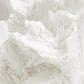 Maple and Jade Coral Decorative Sculpture in Textured White and Clear, , large