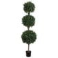 Allstate Floral 6" Tri Ball Boxwood Tree in Green, , large