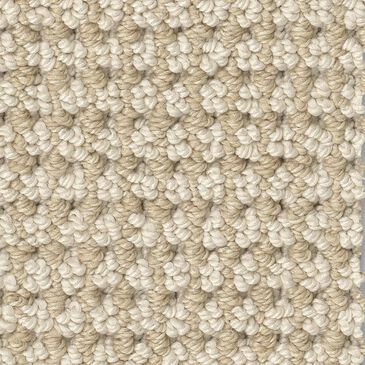 Anderson Tuftex Inspired Carpet in Basalt, , large