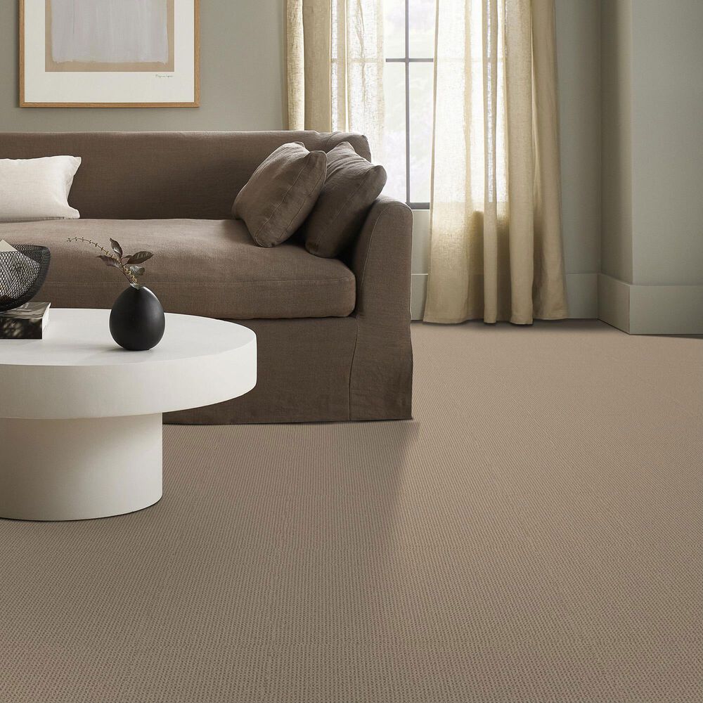 Anderson Tuftex Arden Park Carpet in Nutshell, , large