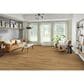 Mannington Adura Pro Loose Lay Heartwood Ridge 7" x 48" Luxury Vinyl Plank, , large