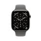 Apple Watch Series 11 (GPS+Cellular) 46mm Natural Titanium Case with Stone Gray Sport Band - M/L - Natural - (2025)(Pre-Order), , large