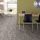 Anderson Tuftex Ming Carpet in Heirloom Gray, , large