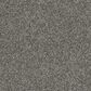 Shaw Making The Rules 3 Carpet in Ashes, , large