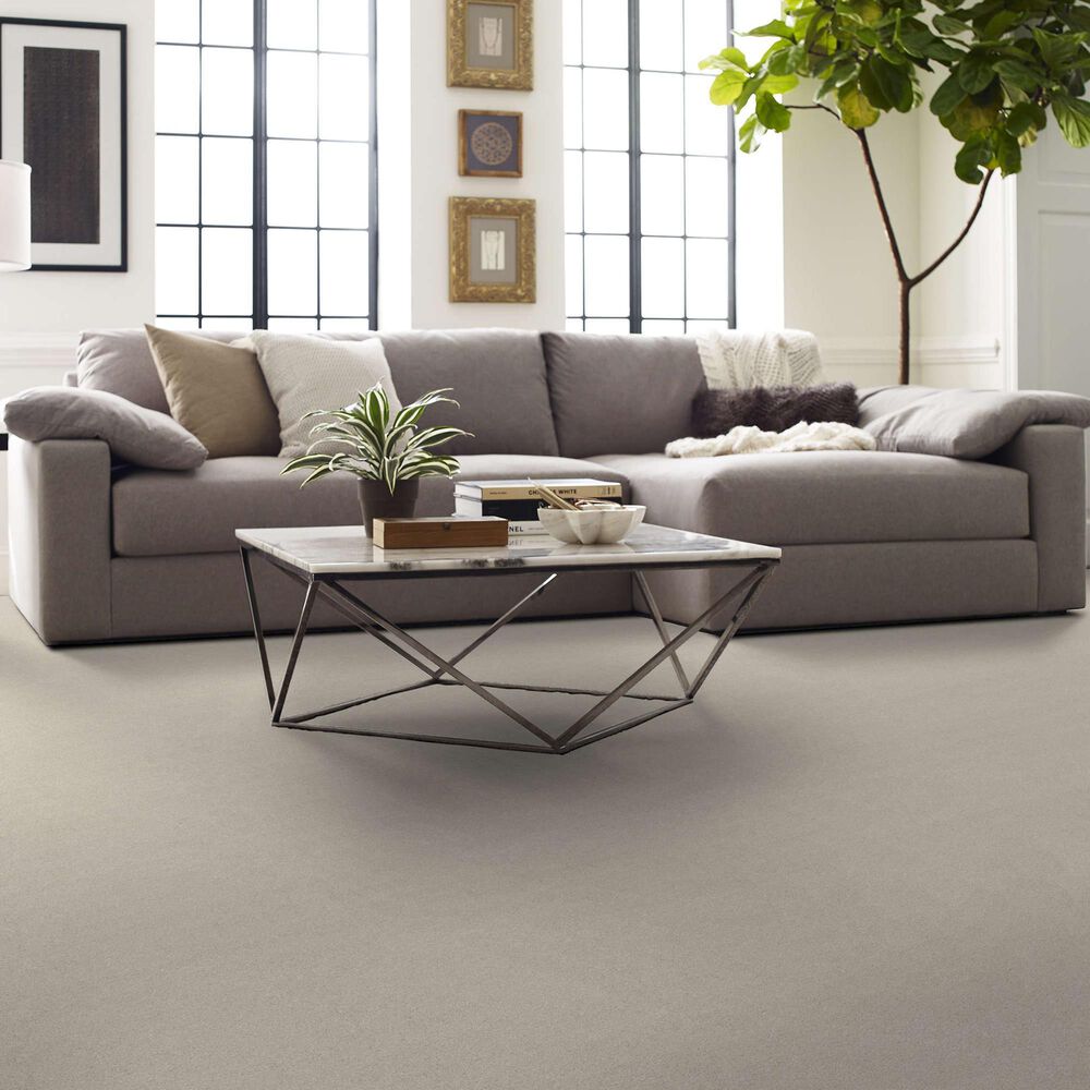 Shaw Your Comfort I Carpet in Need A Hug, , large
