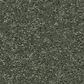 Anderson Tuftex Enduring Charm Carpet in Bereyl, , large