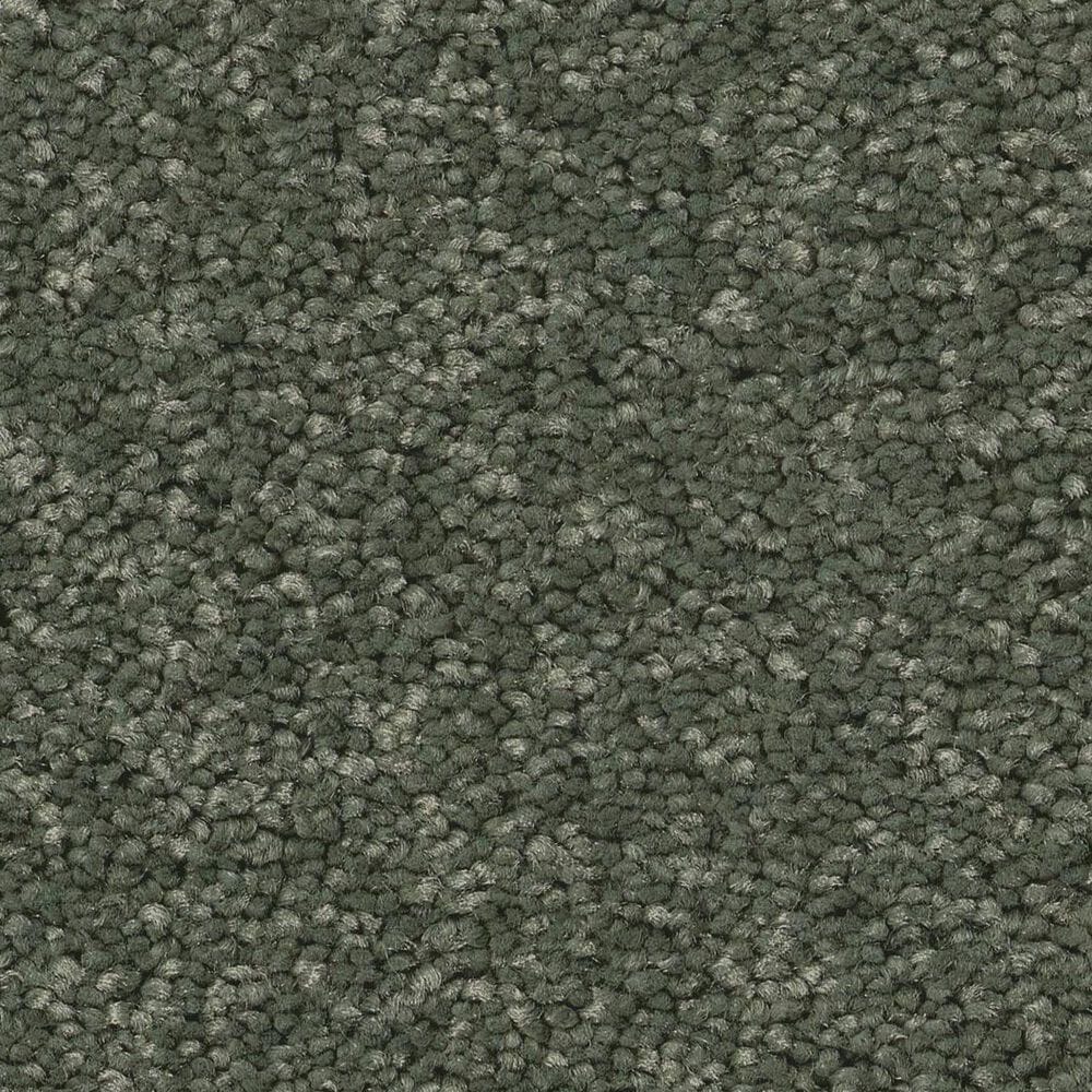 Anderson Tuftex Enduring Charm Carpet in Bereyl, , large