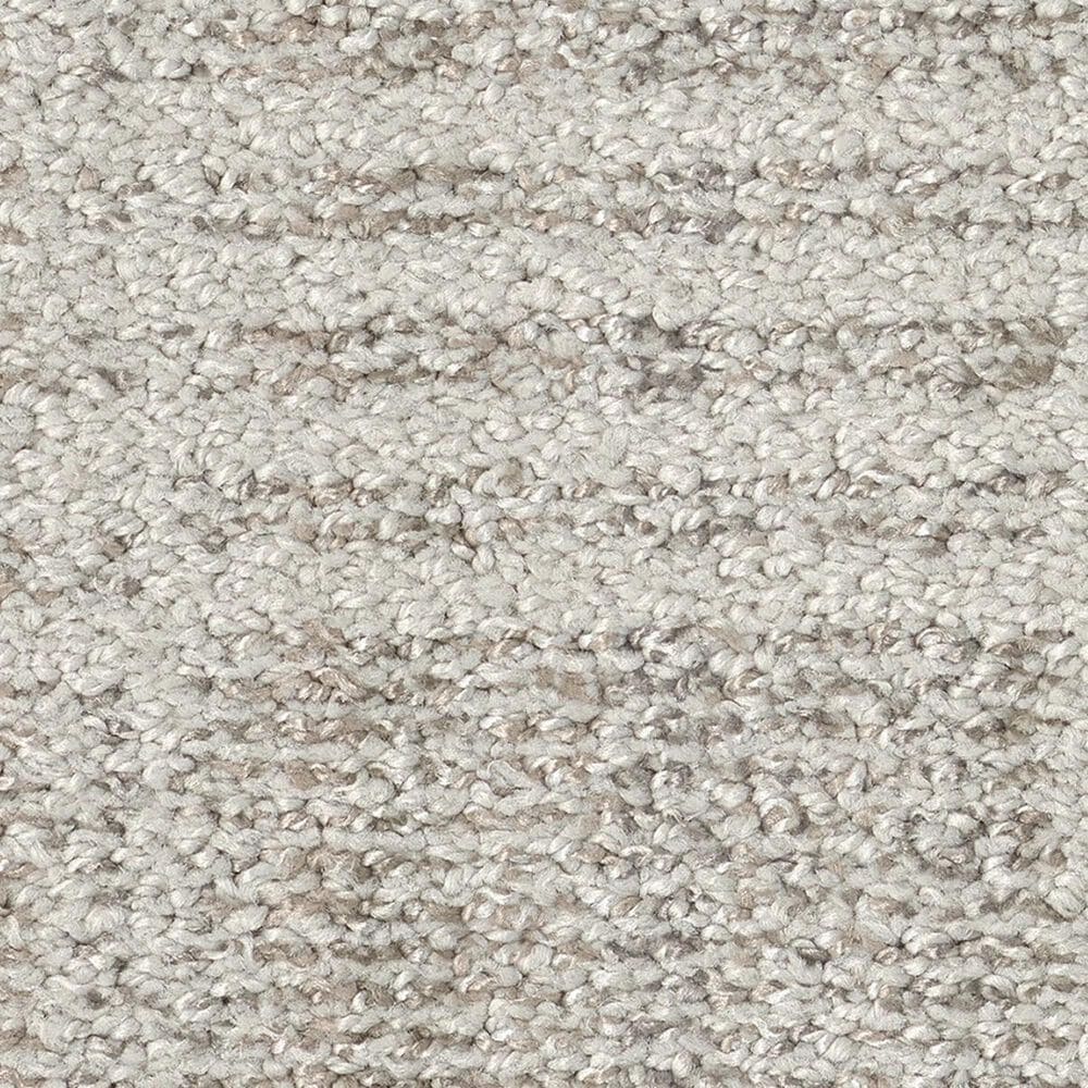 Anderson Tuftex Collab Carpet in Birch Bark, , large