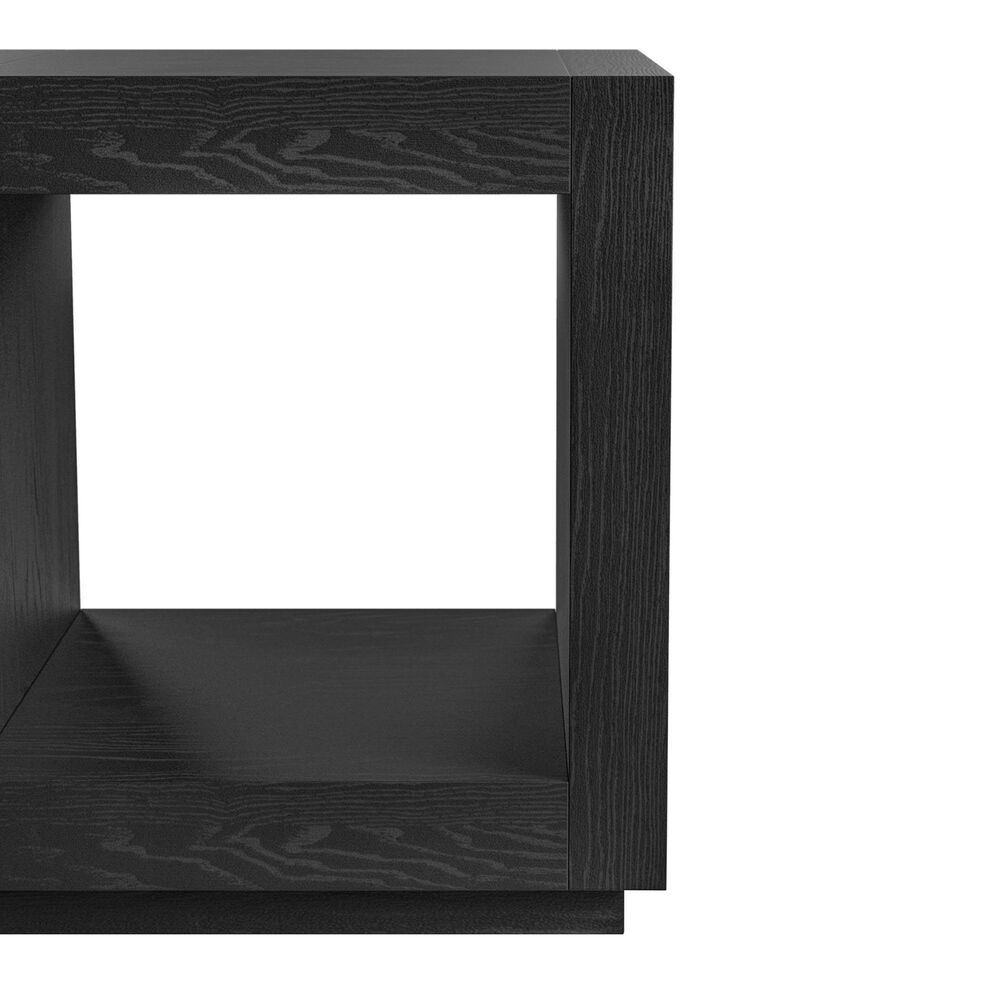 Furniture of America Gryel End Table in Black, , large