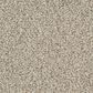 Masland Santo Domingo Carpet in Unwavering, , large