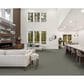 Masland Roadster Carpet in Pleasant, , large