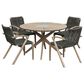 Blue River Sachi 5-Piece Patio Dining Set in Gray and Light Eucalyptus, , large