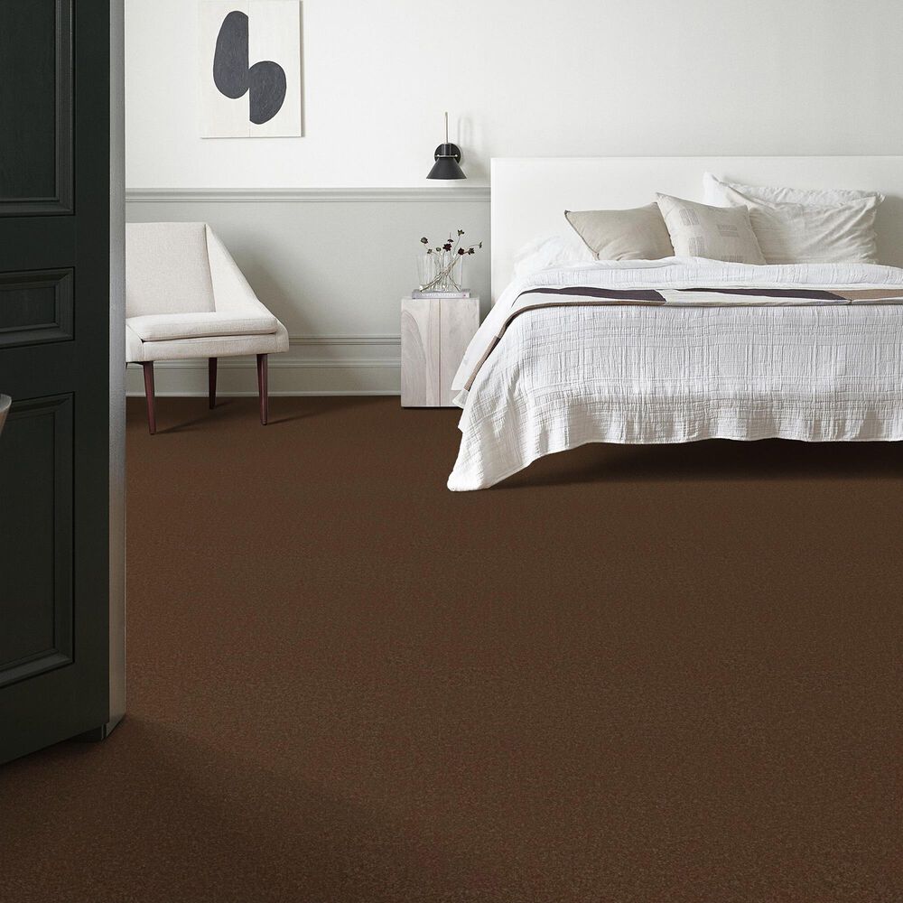 Anderson Tuftex Elegant Beauty Carpet in Bronco, , large