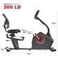 Sunny Health & Fitness Smart Programmable 16 Levels Electro-Magnetic Resistance Recumbent Exercise Bike in Black, , large