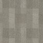 Philadelphia Square Deal Carpet in Conformity, , large