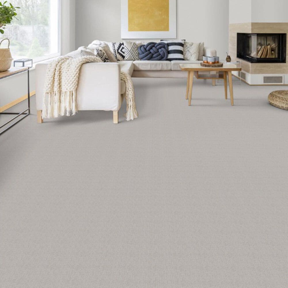 Dixie Home Worthington Carpet in Cast, , large