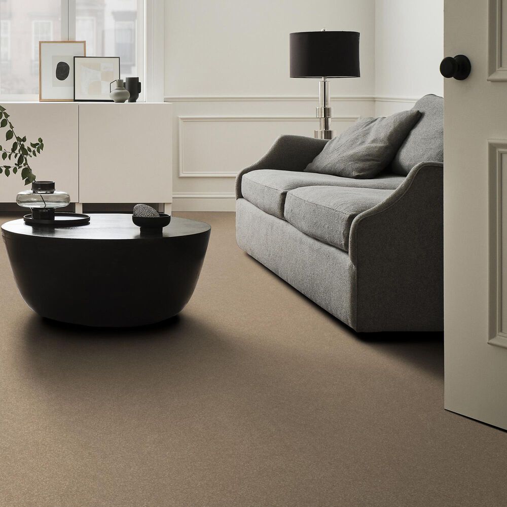 Shaw Hard At Play II Carpet in Worn Path, , large