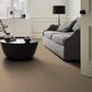 Shaw Hard At Play II Carpet in Worn Path, , large