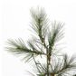 The Gerson Company 3" Pre-Lit Hard Needle Tips Hinged Tree in Green, , large