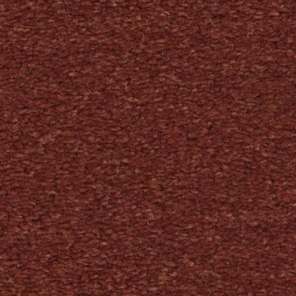 Anderson Tuftex Finery Carpet in Sunset, , large