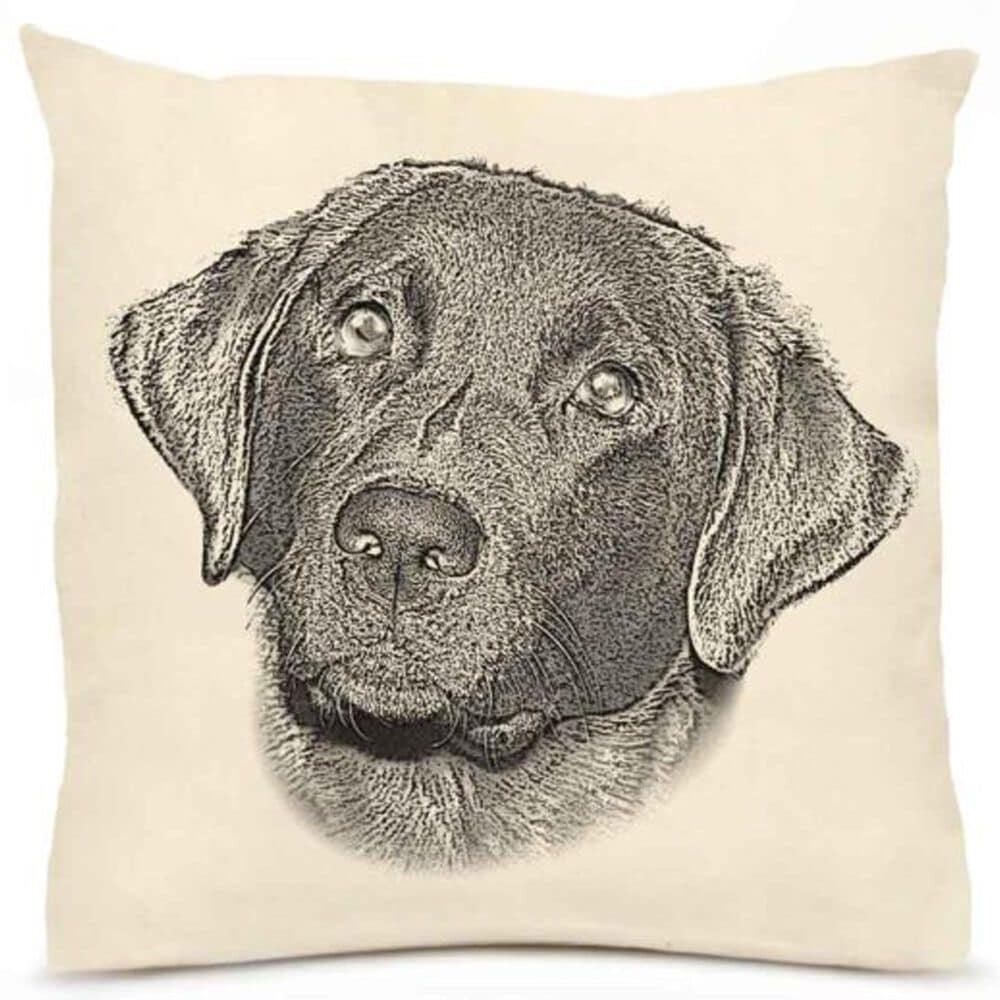 Eric & Christopher Black Lab 1 20" x 20" Throw Pillow in Natural, , large