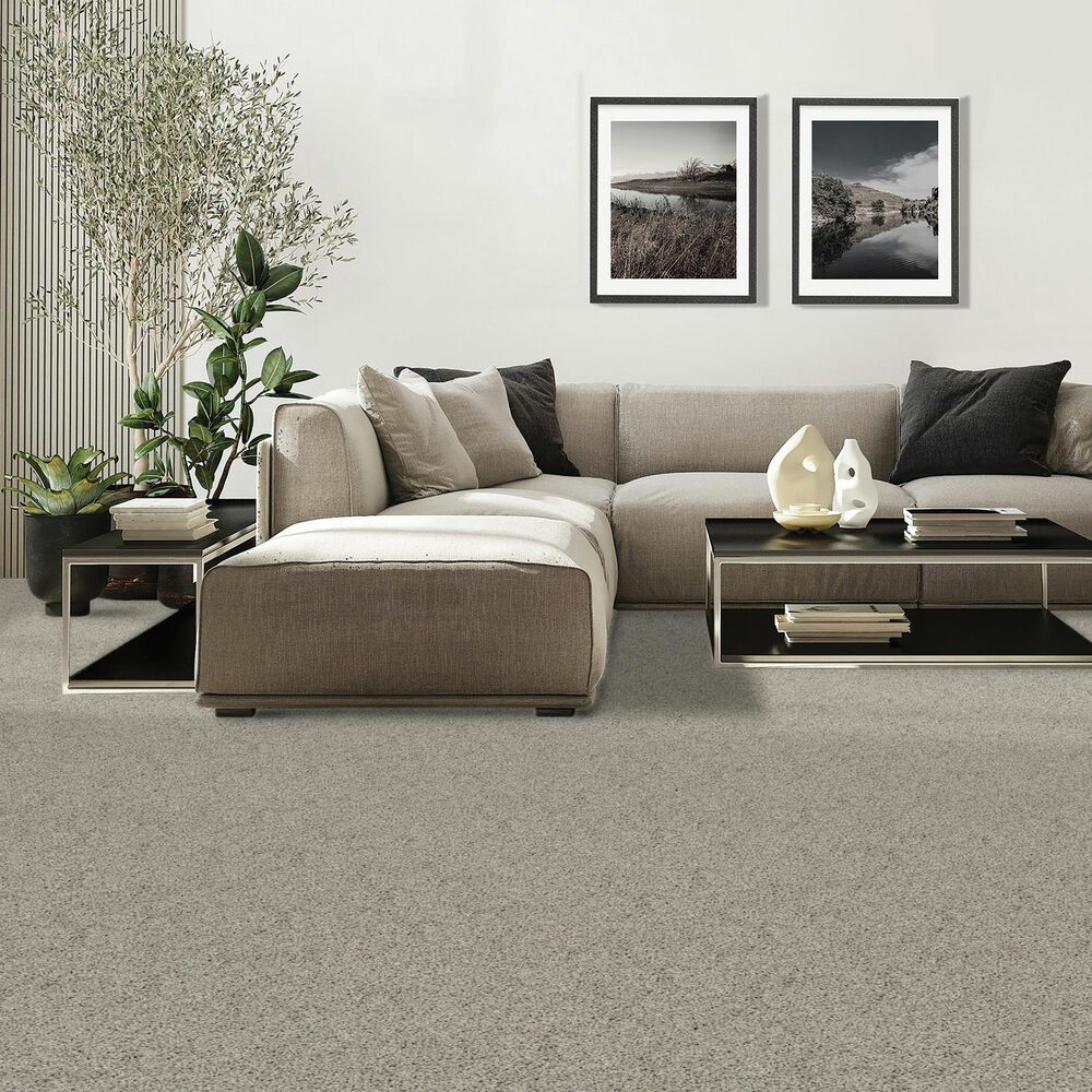 Mohawk Diffurent Choice III Carpet in Mercury, , large