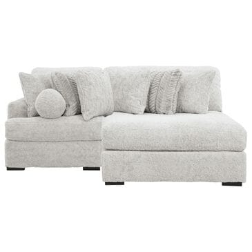 Ashley Cuddle Plush 2-Piece Stationary Right Facing Sectional with Chaise in Arctic, , large