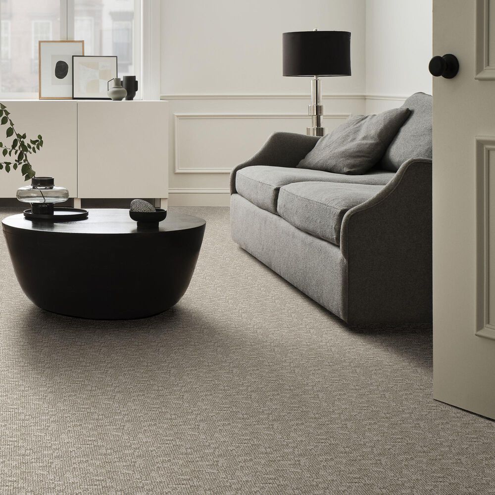Anderson Tuftex Paw-Tay Carpet in Birch, , large
