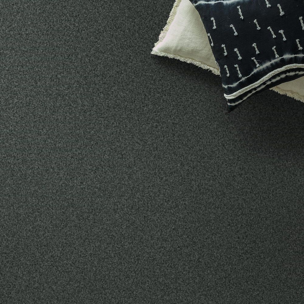 Anderson Tuftex Terra Nova Carpet in Submarine, , large