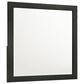 Mayberry Hill South Bend Dresser Mirror in Black, , large