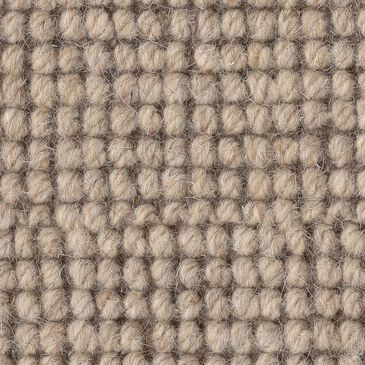 Anderson Tuftex Touchstone Carpet in Rugged, , large