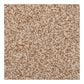 Dixie Home Lavato Carpet in Dorion Tweed, , large