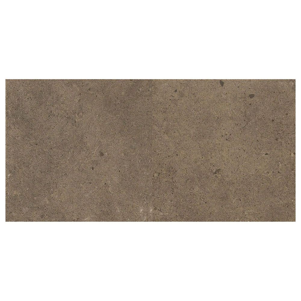 Dal-Tile Industrial Park Chestnut Brown 12" x 24" Porcelain Tile, , large