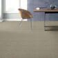 Anderson Tuftex Renoir Carpet in Cumulus, , large