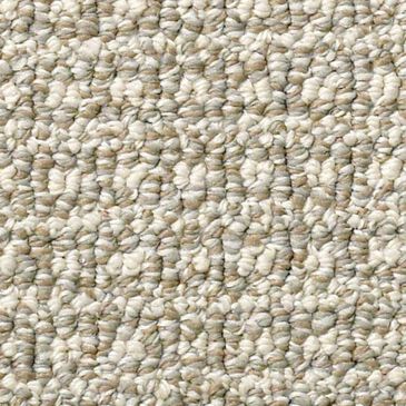 Anderson Tuftex Fetch Carpet in Briarwood, , large
