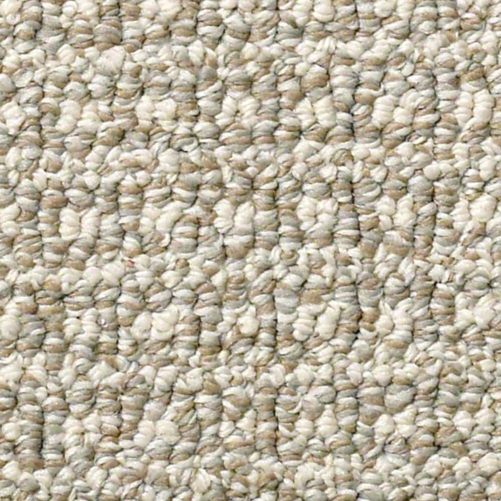 Anderson Tuftex Fetch Carpet in Briarwood, , large