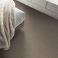 Shaw Artistic Fusion II Carpet in Honeycomb, , large