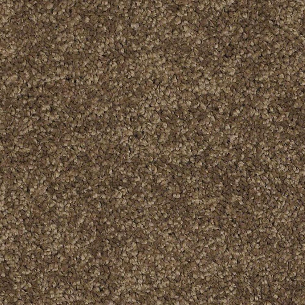 Anderson Tuftex Barracan Classic IV Carpet in Tobacco Leaf, , large