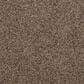 Mohawk Canine Chic Carpet Nightshade, , large