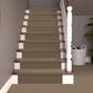 Dixie Home Galliard Carpet in Avenue, , large