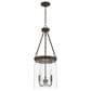 Hunter Devon Park 3-Light Pendant in Onyx Bengal, , large