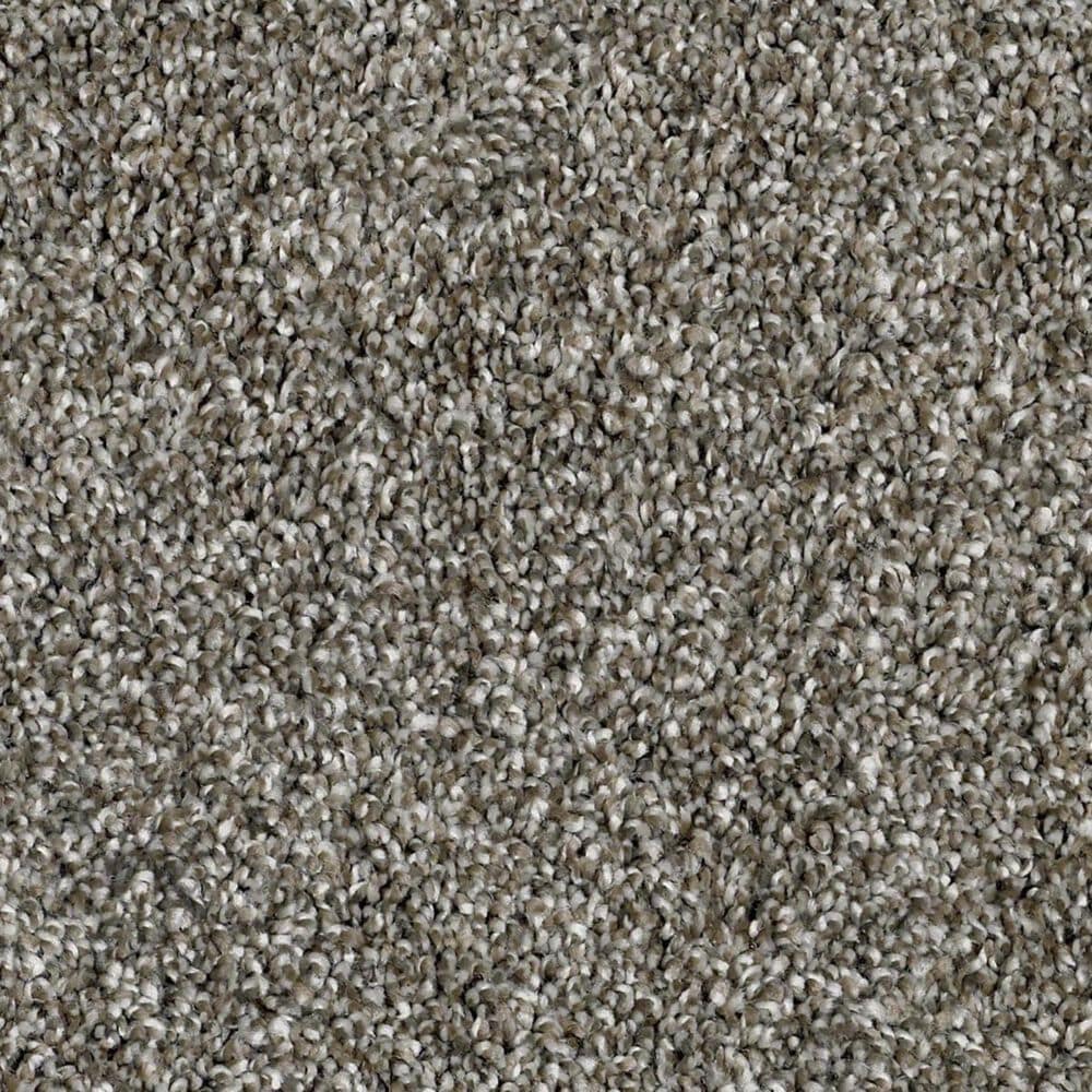 Shaw Work The Color Net Carpet in Bird Bath, , large