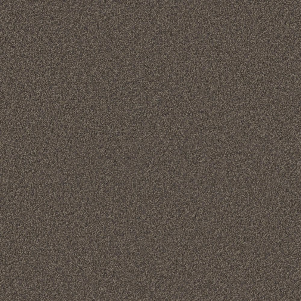 Phenix Capri Carpet in Espresso, , large