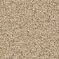 Shaw New Memories S Carpet in Hourglass, , large