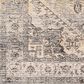 Surya Chicago CHG2316 6"7" Round Light Beige, Charcoal, Slate, Black, Blue,Taupe Area Rug, , large