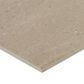 Dal-Tile Exposition Gesso 12" x 24" Porcelain Tile, , large