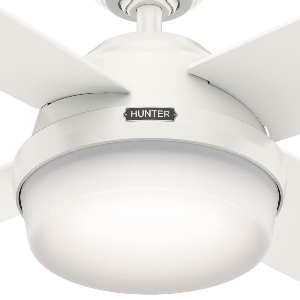Hunter Dempsey 52&quot; Outdoor Ceiling Fan with Lights in Fresh White, , large