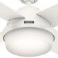 Hunter Dempsey 52" Outdoor Ceiling Fan with Lights in Fresh White, , large
